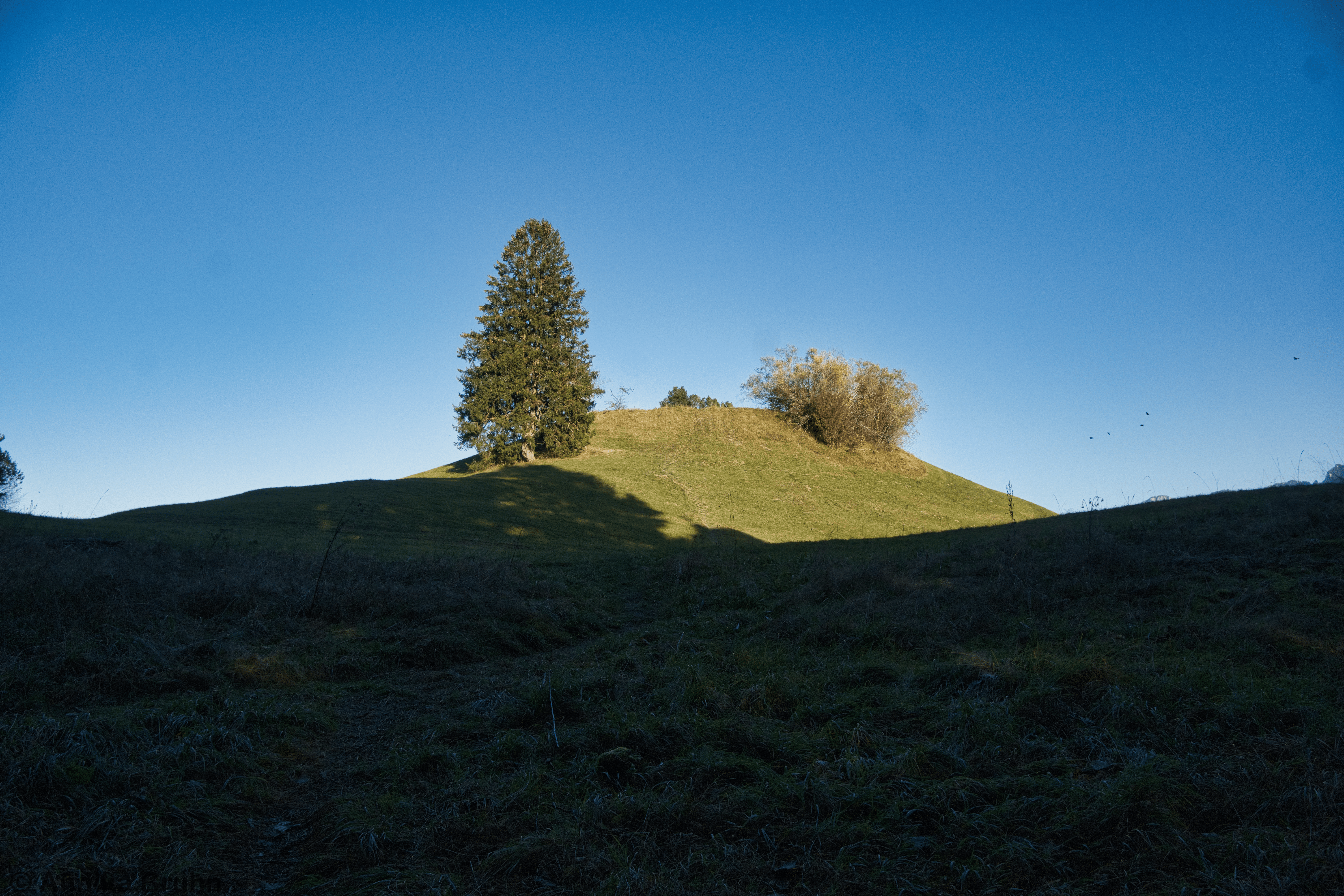 Der Galgenbichel